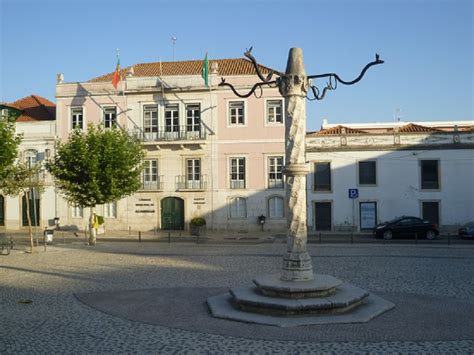 Câmara Municipal de Azambuja Azambuja