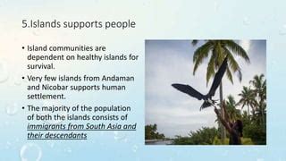 Marine Life Of Andaman And Nicobar Ppt