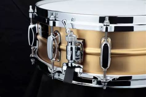 Tama Stewart Copeland 5x14 40th Anniversary Limited Edition Signature