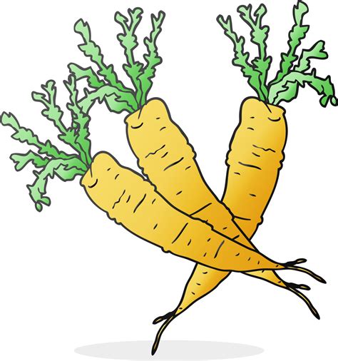 Freehand Drawn Cartoon Carrots Drawing Png