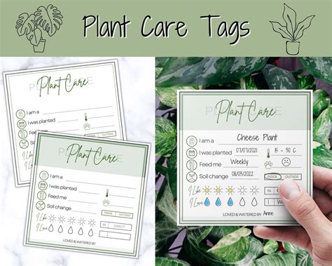 PLANT CARE Instructions Card, Printable Plant Tags, DIGITAL Care Card