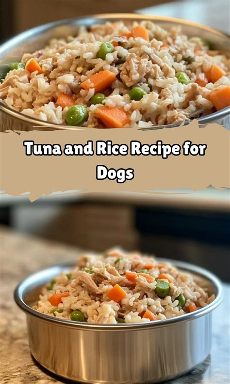 simple dog meals 1