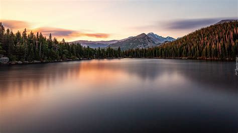 Drzewa Nad Jeziorem Bear Lake W Parku Narodowym G R Skalistych