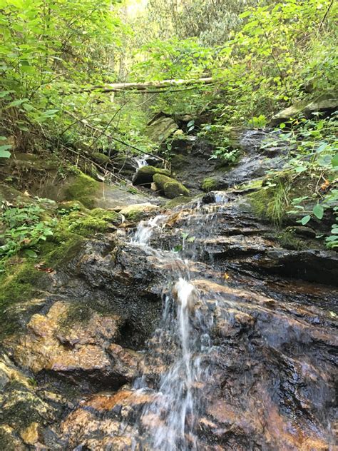 photo-9 - Southern Appalachian Highlands Conservancy