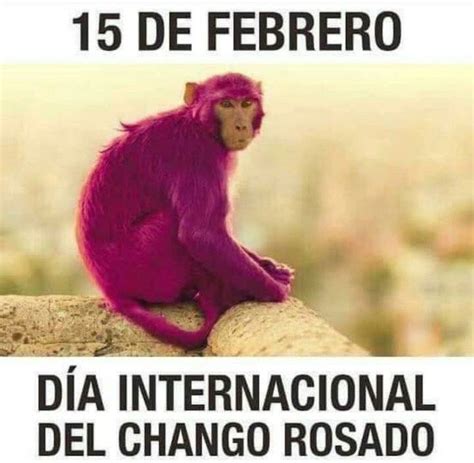 D A Internacional Del Chango Rosado Por Qu Se Le Conoce As Al De