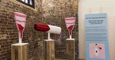 El Primer Museo De La Vagina Del Mundo Abre En Londres