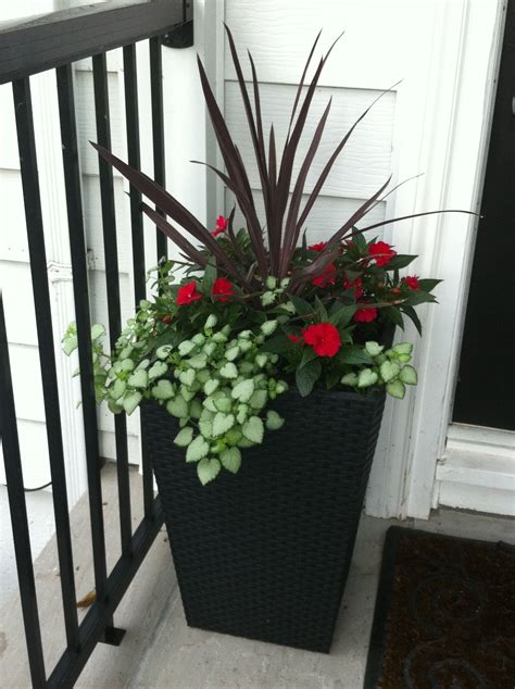 10 Planter Ideas For Front Door