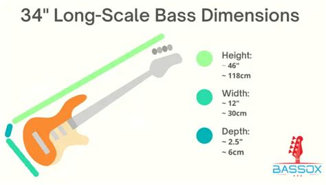 Bass Guitar Dimensions Explained Averages Included Bassox