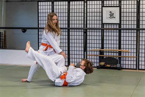martial art aikido