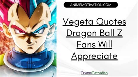 18 Dragon Ball Super Quotes That Will Make You Laugh And Feel Nostalgic