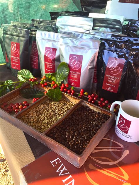 What Are Coffee Beans Grown On at Luis Silva blog