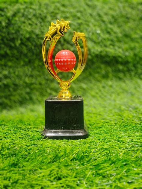 fiber golden cricket trophy size     piece  rajkot