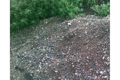 Песчано-гравийная смесь: применение в дорожном строительстве