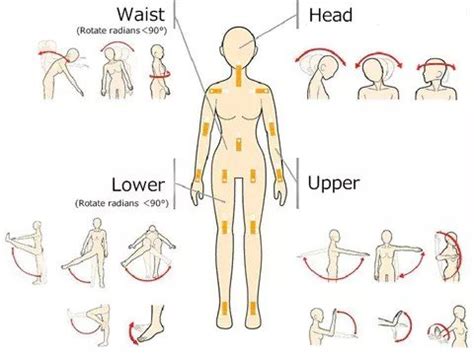 Sex Doll Care Sex Doll