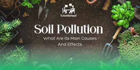 soil pollution    main   effects