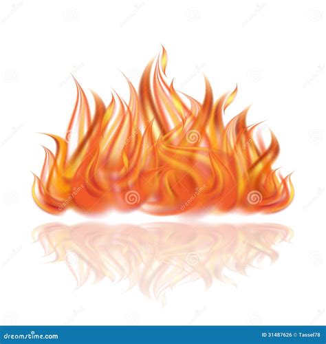 Fuego En El Fondo Blanco Ilustraci N Del Vector Ilustraci N De