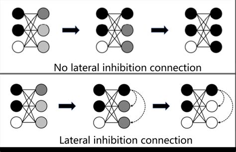 Schematic Diagram Of Lateral Inhibition Connection The Color Depth Of Download Scientific