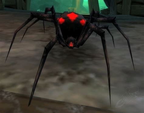 Night Web Spider NPC Classic World Of Warcraft