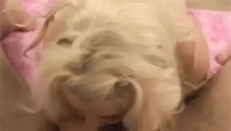 Blonde BBW Loves My Dick To Blow And To Fuck Her Deeply XHamster