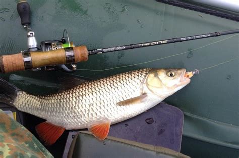 Воблеры Юзури. История, разновидности, отзывы