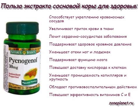 Кора муравьиного дерева: свойства внутреннего слоя, инструкция по ...