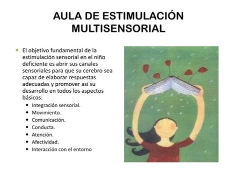 Ppt Aula De Estimulaci N Multisensorial Powerpoint Presentation Free