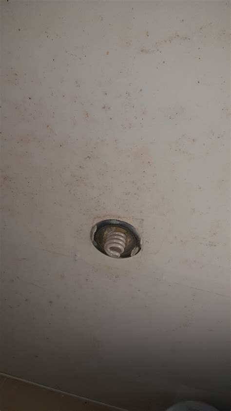 celyn resort kinabalu prices hotel reviews kundasang malaysia