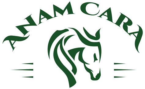 anam  counseling