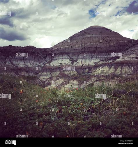 The badlands of Drumheller, AB Stock Photo - Alamy