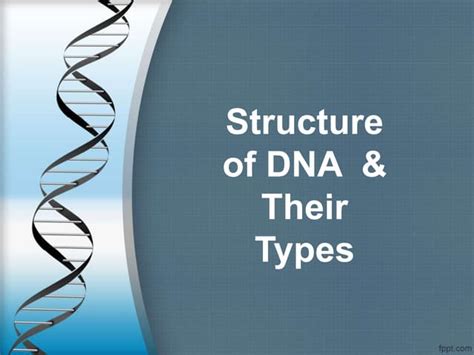 structure  dna  typespptx