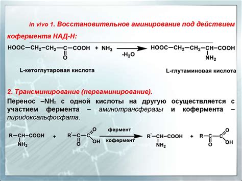 Аминокислоты, пептиды, белки - презентация онлайн