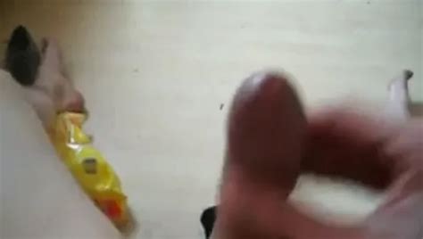 Erster Versuch Free Solo Man Porn Video Xhamster Xhamster