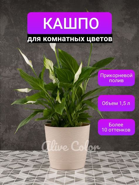 Кашпо для комнатных цветов с прикорневым поливом Alive Color ...