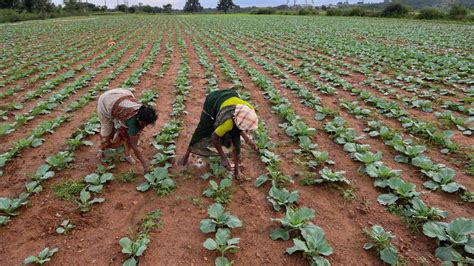 Mou Signed Between Space And Agriculture Departments To Develop Krishi