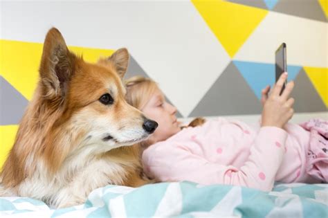 Garota Divertida E Corgi De Cachorro Na Cama No Ber Rio Leram Um Livro