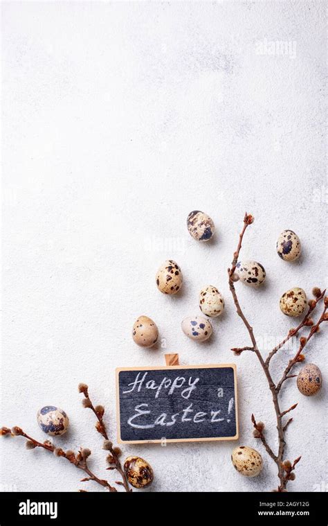 Easter Background With Quail Eggs And Pussy Willow Stock Photo Alamy