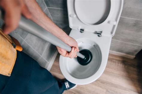 How To Properly Plunge A Toilet Christiansonco