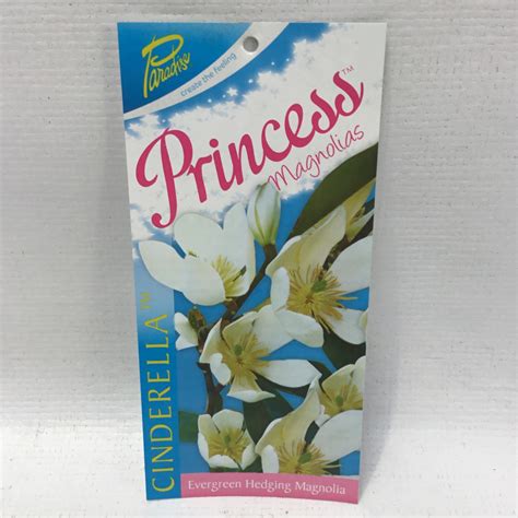 Magnolia princess cinderella 200mm pot | Formosa Gardens Nursery, Ballarat