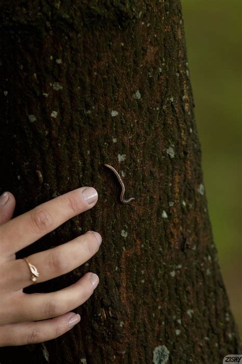 Tall Slim Blonde Flashing Her Tits And Pussy In The Woods Photos