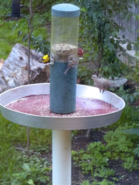 Diy Bird Tray Feeder at Russell Weyand blog