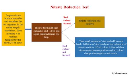 Common Biochemical Tests In Microbiology Nitrate Reduction Test Labmonk