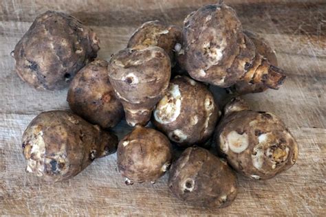 Топинамбур: полезные свойства овоща-пребиотика