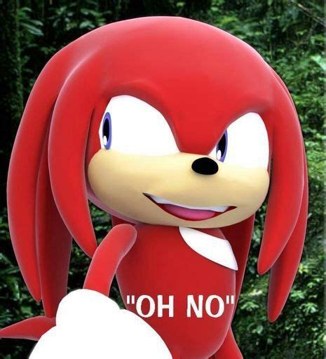 Do You Know All The Knuckles Memes | Sonic the Hedgehog! Amino