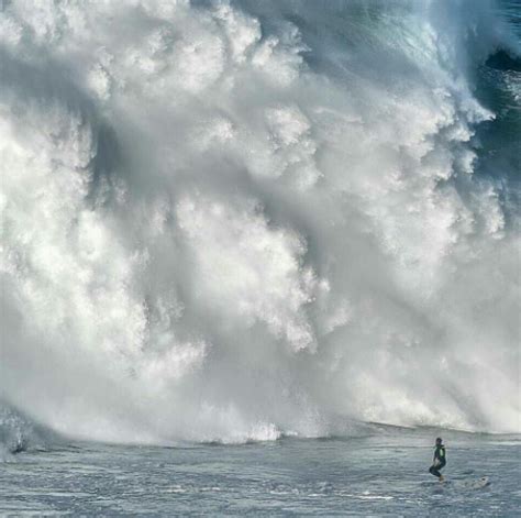 rough water  rough  rough world open water swimming association