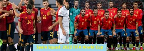 spain squad  fifa world cup