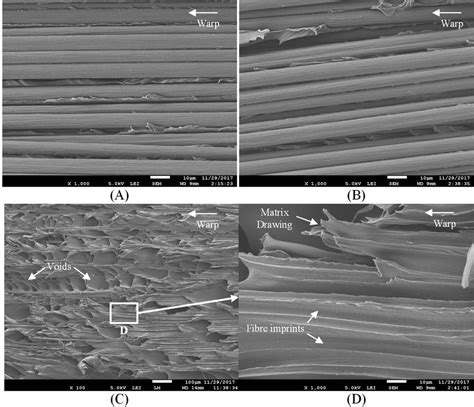 Sem Micrographs Of Locations A C Of Fig A B Extensive