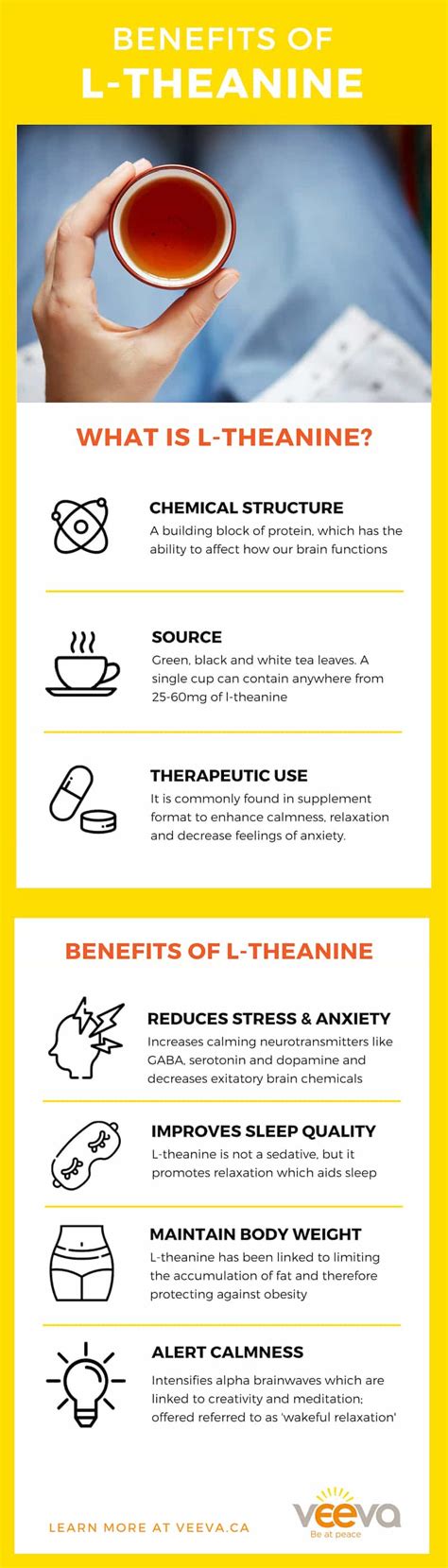 Alert Calmness The Benefits Of L Theanine And How To Make The Most