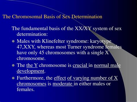 PPT The Sex Chromosomes And Their Abnormalities PowerPoint Presentation ID