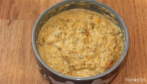 Best 15 Vegan Dog Treat Recipes Easy Recipes To Make At Home