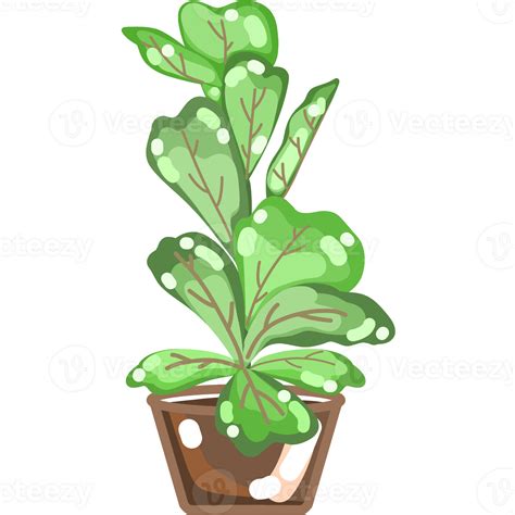 Foliage and Variegated Plants 25247195 PNG